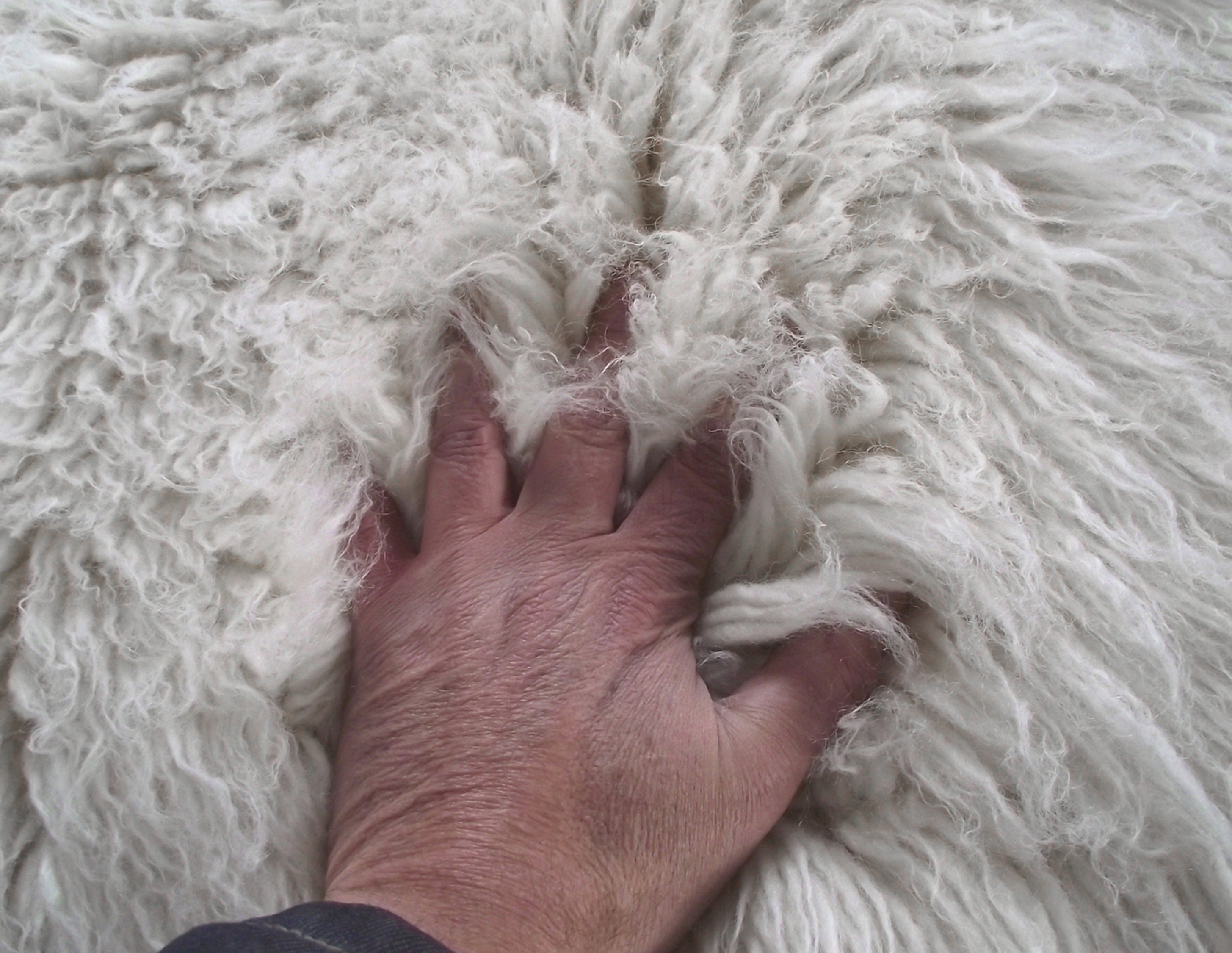 ORGANIC FLOKATI PET BEDS | FLOKATI THROW RUGS