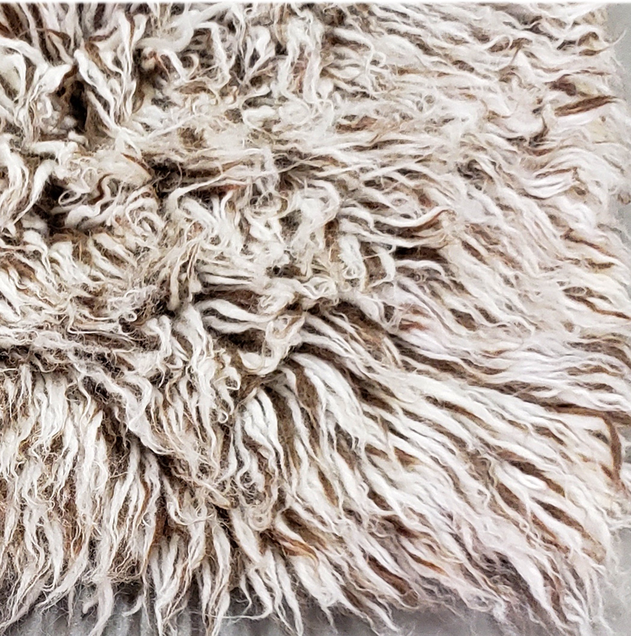 ULTRA-PLUSH💥 3x5 CUSTOM FLOKATI RUG💥THICK 4
