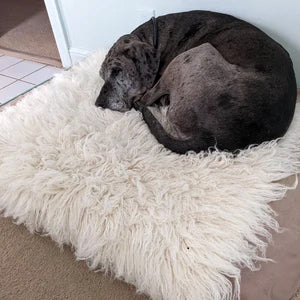 ORGANIC FLOKATI PET BEDS | FLOKATI THROW RUGS